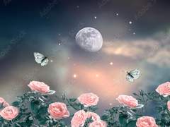 나비들의 정원 '가든'의 오래된 이야기