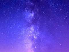 케베로스 러셀 / XY / 23세 / 제 1 기사단