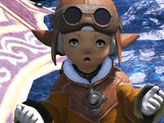 성 코이나크 재단