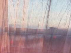 [뮤른] 청게… 근데 이제 스포츠를 조금 곁들인