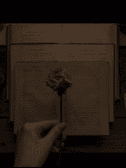 찾지못했지만 곁에 있던 것들