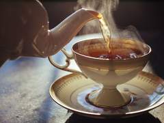 체로 L. 플레처/xx/23/제 2기사단