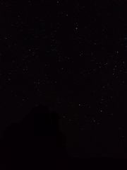 (구) 노목개화심불노