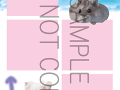 여기 하무스타-인생네컷 프레임