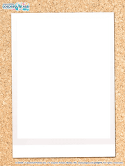 추억의 여름 사진