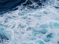 손끝에 흘러내리는 것은