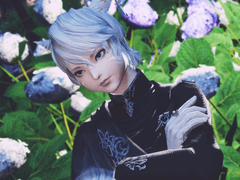 길바닥 점성술사