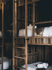 내가 이 사람들하고 룸메이트라고요?