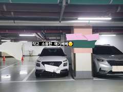 일단, 베베를 소개합니다.