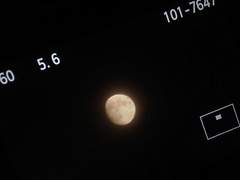 지구, 그리고 달