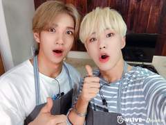 [세븐틴 팬픽/홍시] 불꽃