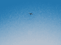 물빛, 해바라기, 꽃잎 -07