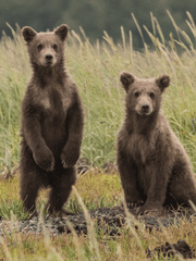 남매는 오늘도 평화롭다.