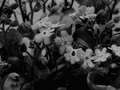 너라도 이런 내 모습을 사랑해보겠니?