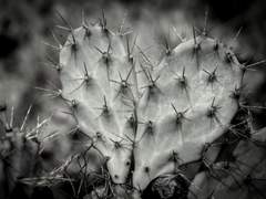 [재희주연] 미련