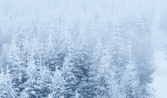 세계가 시련을 주었다면, 그것마저 사뿐히 즈려밟고.