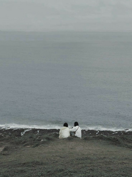 누군가의 삶에 관한 습작