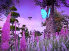 [FF14 | 헤르아젬] 페탈루다 관찰일지