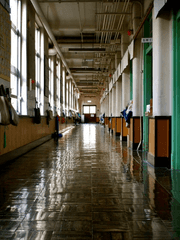 류인하의 이야기