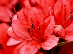 적화ㅣ女ㅣ퇴마사