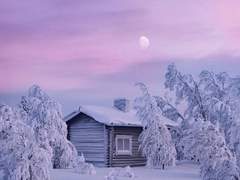 한 겨울 / XX / 공개 프로필