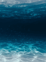 [코난] 그들의 동생