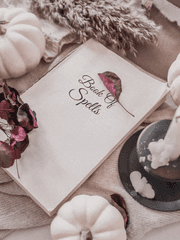 도리벤을 보기 시작했다!