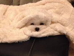 00. 여는 글(약스포)