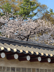 戀心 연심 : 준호영우 사극편