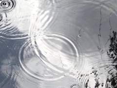 은하령/XX/1학년