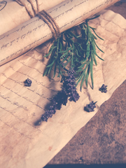 어느 새벽의 편지