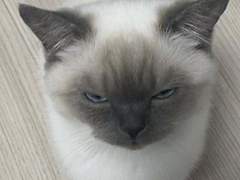 정재현 사촌동생이 에스엠한테 캐스팅된 썰 4