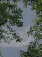 진솔하고 솔직한 고민 상담소 제 1회