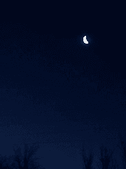 [테일즈런너] 기쁨의 왕국 왕자와 런너