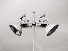 [어바등] 대체품 3화