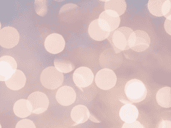 [변백현] 상망대학교 대나무숲