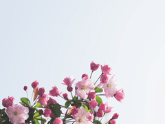 슬기로운 지옥생활 21 ~ 26