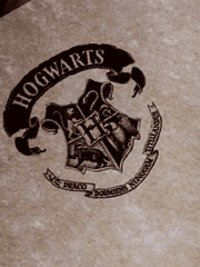 드림 인 더 호그와트