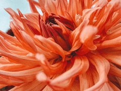 해리포터 퀴칼 트립물 보고싶당