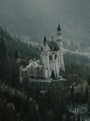 빛 잃은 세계에게