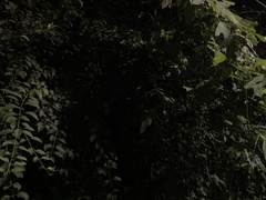 어중간하게 평범한.