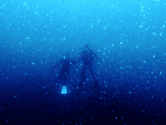 가상한 크리스마스