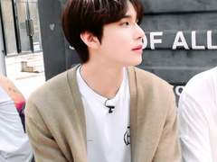 합리적 양다리 15