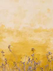 바다 건너 먼 길