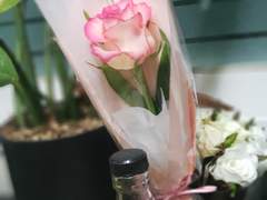 2022. 8. 22. 어제 결혼 기념일을 못챙겨줘서 토라진 마누라에게서 살아남기 위해 꽃 한송이를 건네어주다.