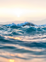 루스매브 꿈속 대면 