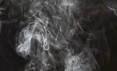 토쿠무라 키스케 男 18