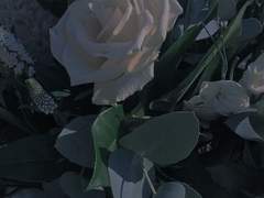 우리 격이 같다고 생각하는