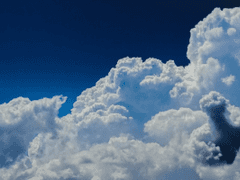 덧없이 진 청춘은 자유를 노래한다