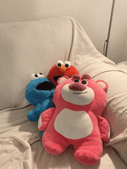 이씨형제 성장기